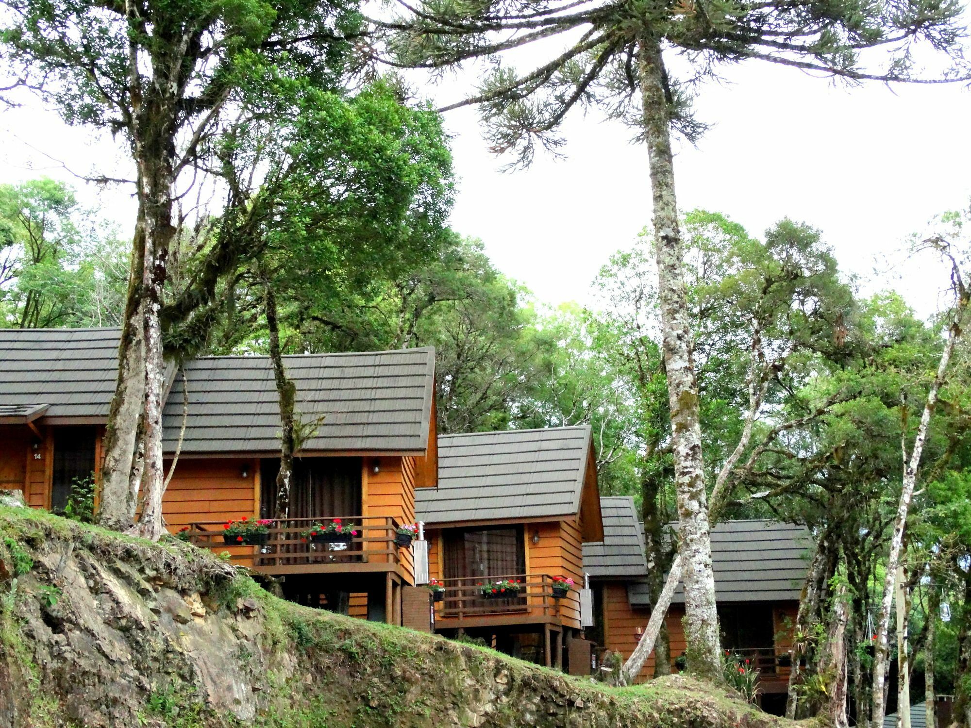 Pousada Chales Da Montanha Gramado Exteriör bild