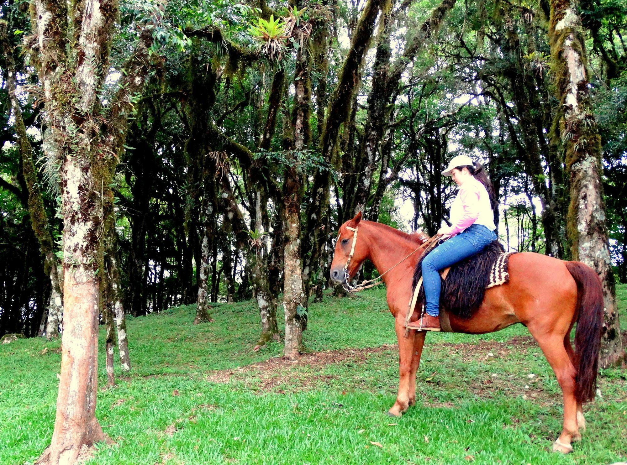 Pousada Chales Da Montanha Gramado Exteriör bild